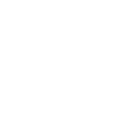 Crane VC logo
