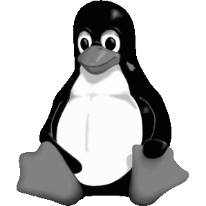Image of Linux kernel